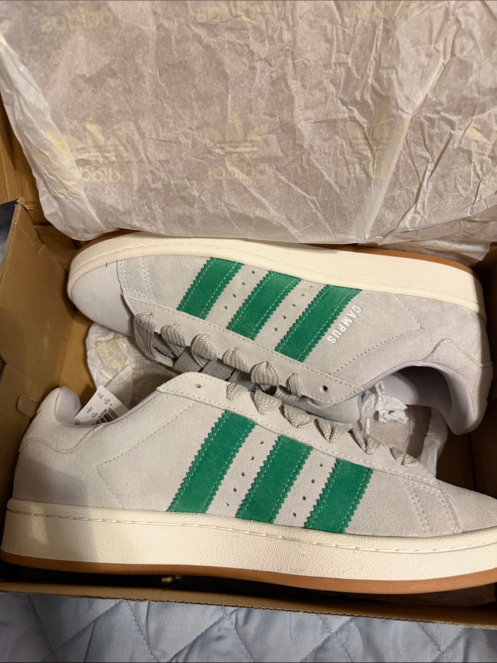 adidas Campus Suede Sneakers in Light Gray with Green Stripes